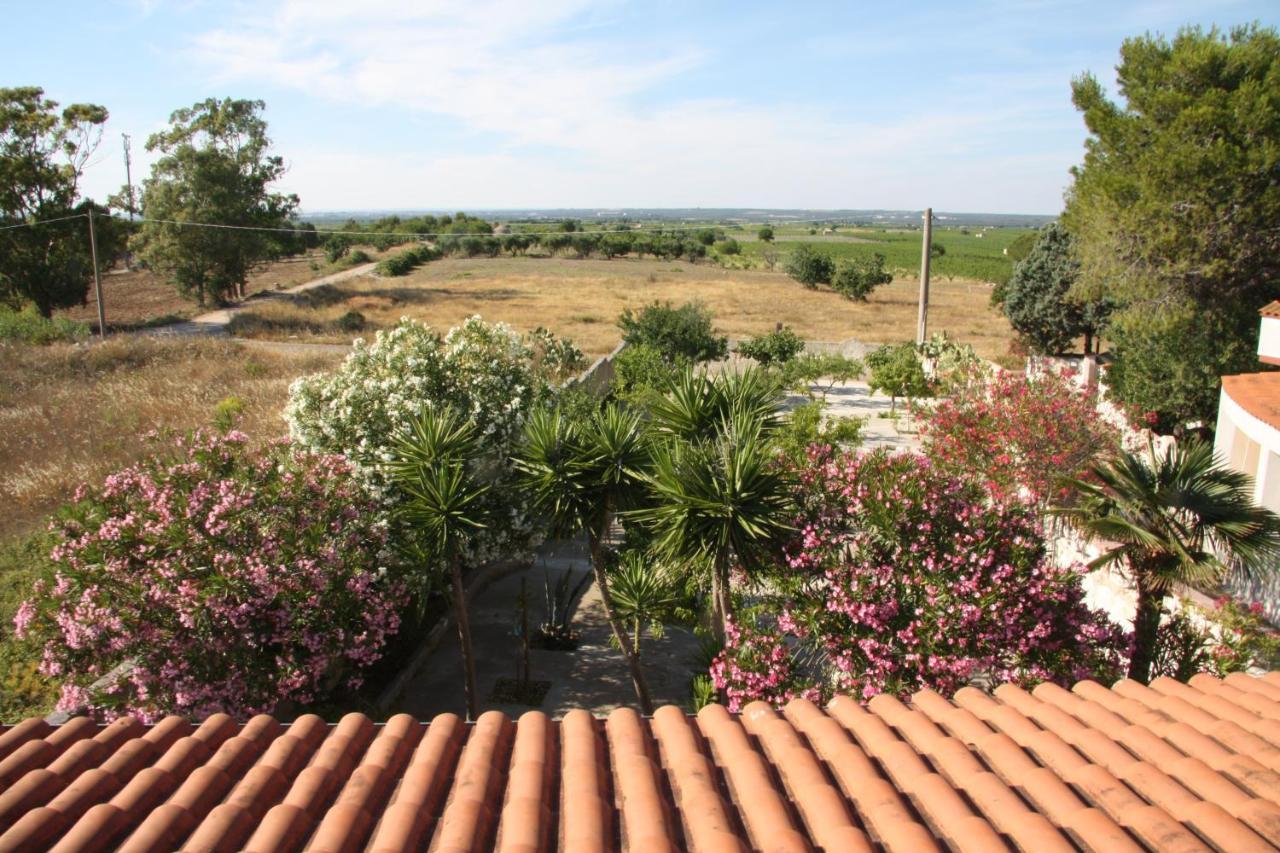 Villa La Casa Di Dario Monacizzo Zimmer foto